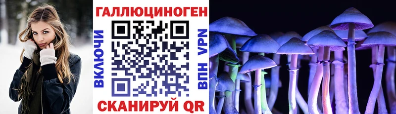 Галлюциногенные грибы Psilocybine cubensis  Заводоуковск 